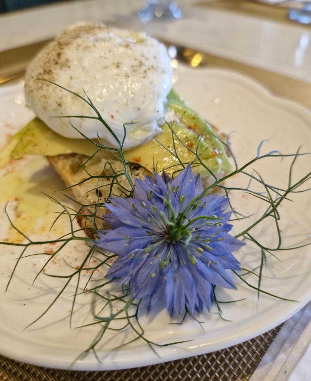 Blumen Hotel Boutique Canela Eksteriør billede